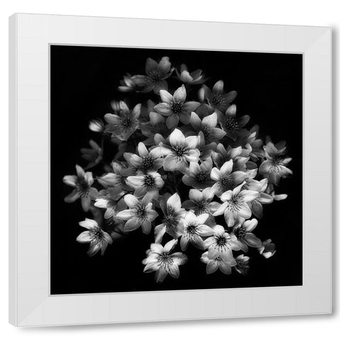 Early Sensation White Modern Wood Framed Art Print by Depaepe, Yvette