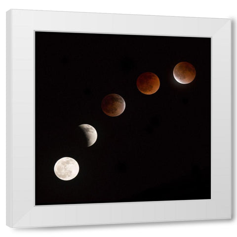 Moon At Play White Modern Wood Framed Art Print by Ianulionoc, Vadim
