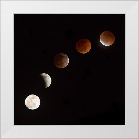Moon At Play White Modern Wood Framed Art Print by Ianulionoc, Vadim