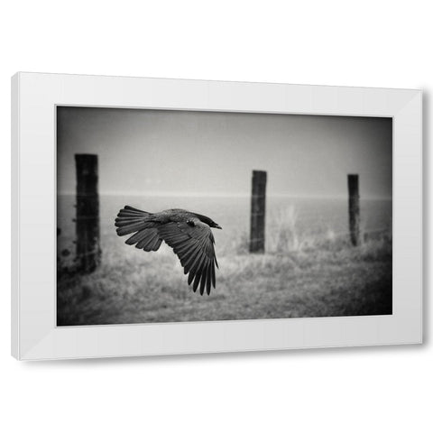 The Day Of The Raven White Modern Wood Framed Art Print by Droste, Holger