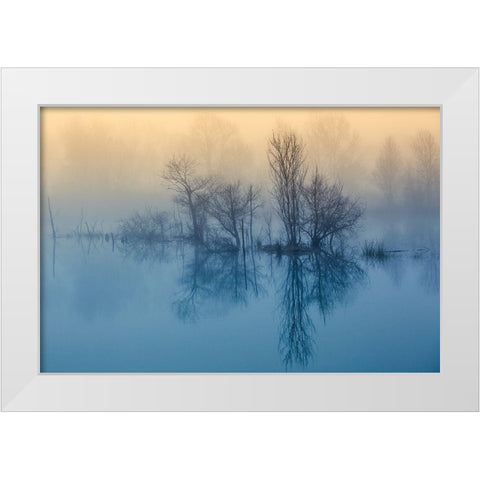 Morning Reflection White Modern Wood Framed Art Print by Butali, David