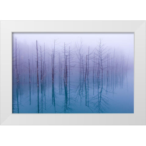 Misty Blue Pond White Modern Wood Framed Art Print by Asami, Osamu