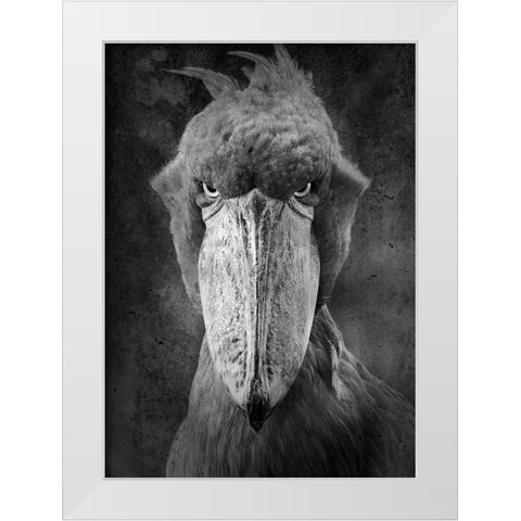 Angry Bird White Modern Wood Framed Art Print by Lehto, Timo