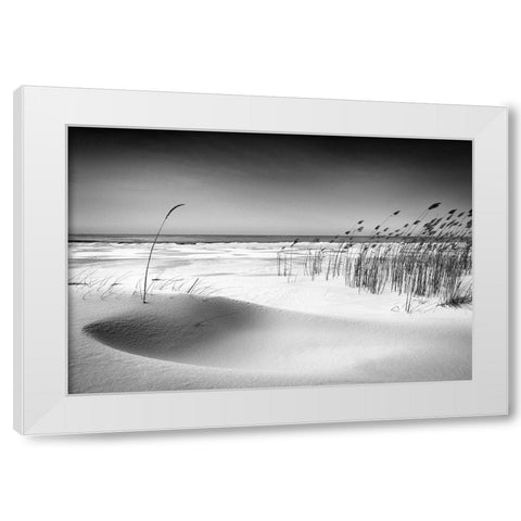 Orchestra White Modern Wood Framed Art Print by Cirulis, Reinis