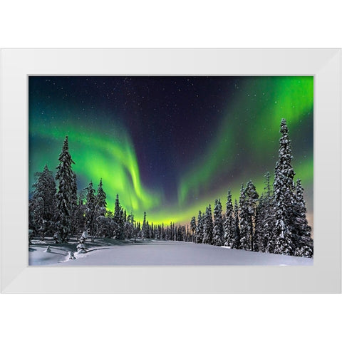 Aurora White Modern Wood Framed Art Print by Roemmelt, Dr. Nicholas