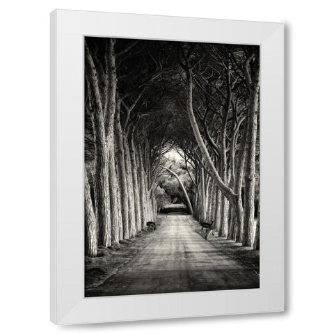 Untitled White Modern Wood Framed Art Print by Stimac, Sandra
