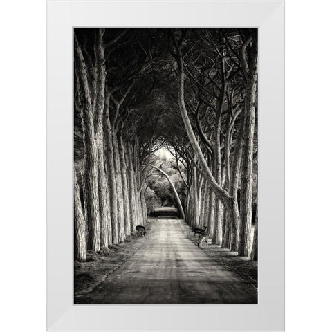 Untitled White Modern Wood Framed Art Print by Stimac, Sandra