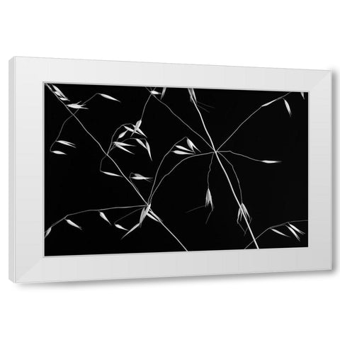 Crossed Lines White Modern Wood Framed Art Print by Azevedo, Olavo