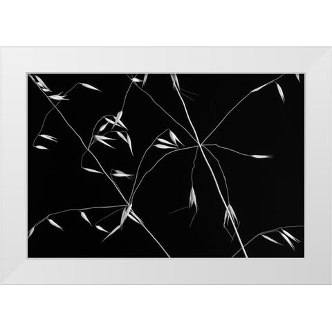 Crossed Lines White Modern Wood Framed Art Print by Azevedo, Olavo