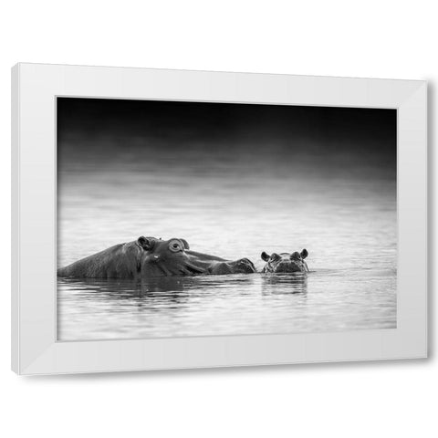 Eye Level White Modern Wood Framed Art Print by Marx, Jaco