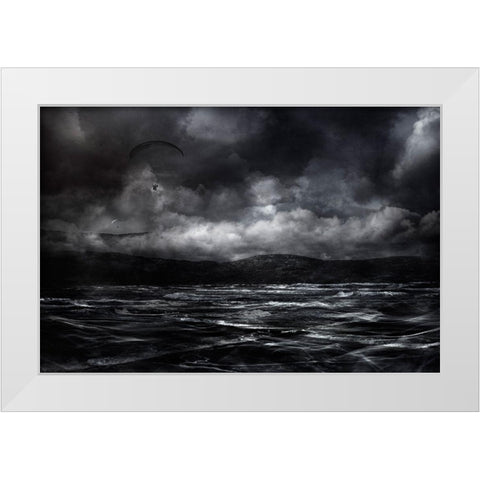 Free As A Bird White Modern Wood Framed Art Print by Marthinussen, Willy