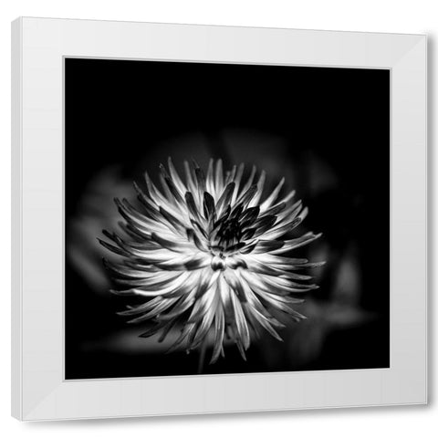 Sensual Performance White Modern Wood Framed Art Print by Bland, Richard