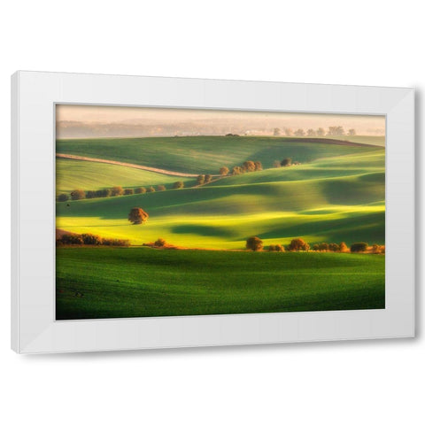 Green Fields White Modern Wood Framed Art Print by Krol, Piotr