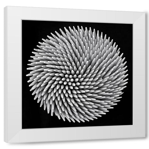 Hypnosis White Modern Wood Framed Art Print by Toniolo, Giorgio