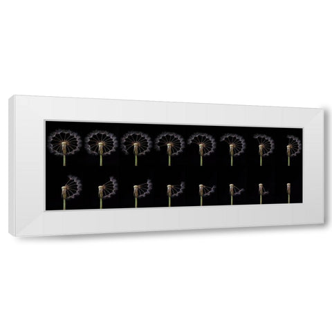 Countdown White Modern Wood Framed Art Print by Lionse, Art