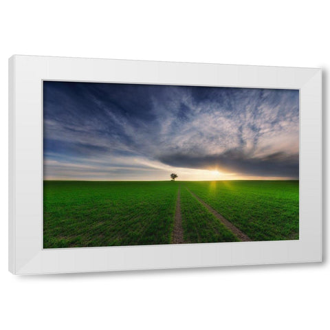 Loner In The Sun White Modern Wood Framed Art Print by Krol, Piotr