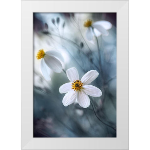 Cosmos White Modern Wood Framed Art Print by Disher, Mandy