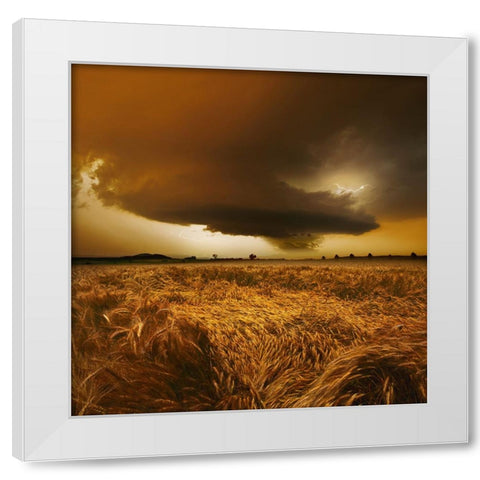 Spaetsommer Stimmung White Modern Wood Framed Art Print by Schumacher, Nicolas