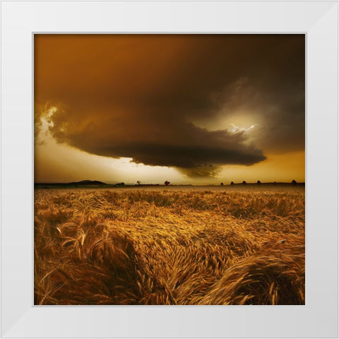 Spaetsommer Stimmung White Modern Wood Framed Art Print by Schumacher, Nicolas