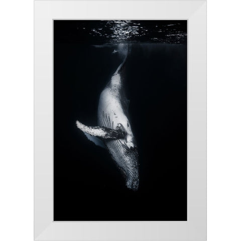 Black Whale White Modern Wood Framed Art Print by Gabriel, Barathieu