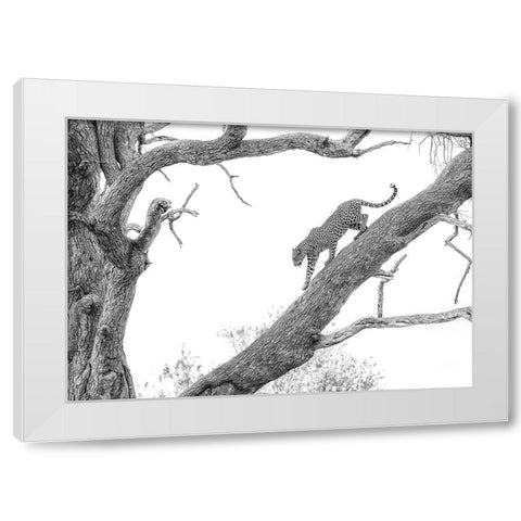 High Key Leopard White Modern Wood Framed Art Print by Marx, Jaco