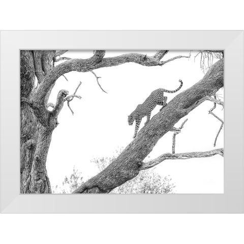 High Key Leopard White Modern Wood Framed Art Print by Marx, Jaco