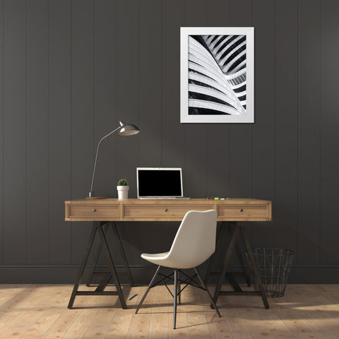 Battle Of The Curves White Modern Wood Framed Art Print by Van De, Jeroen