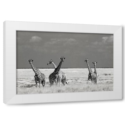 Look Girl Strange Animals White Modern Wood Framed Art Print by Guillemot, Mathilde
