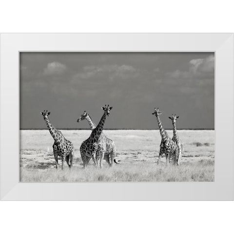 Look Girl Strange Animals White Modern Wood Framed Art Print by Guillemot, Mathilde