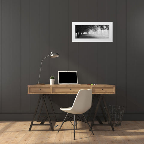 Morning Fog White Modern Wood Framed Art Print by Chiarello, Matteo