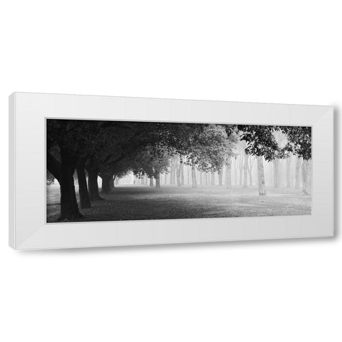 Morning Fog White Modern Wood Framed Art Print by Chiarello, Matteo