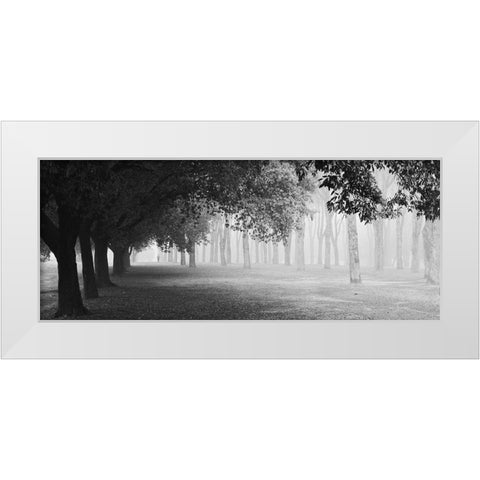 Morning Fog White Modern Wood Framed Art Print by Chiarello, Matteo