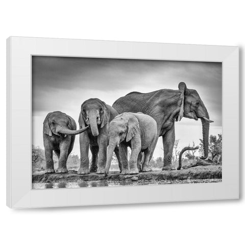 A Giant Unity White Modern Wood Framed Art Print by Marx, Jaco