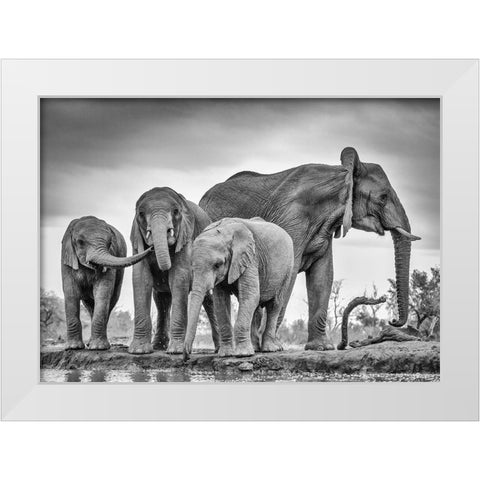 A Giant Unity White Modern Wood Framed Art Print by Marx, Jaco