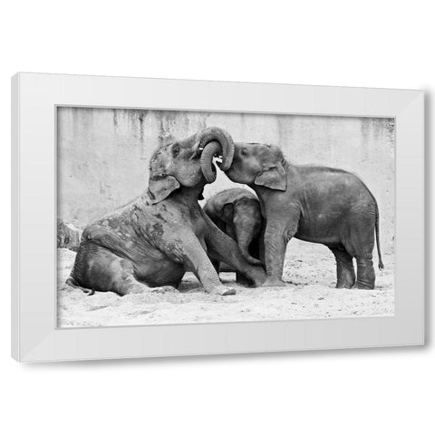 Ma?Nage A? Trois White Modern Wood Framed Art Print by Wenner-Braun, Antje