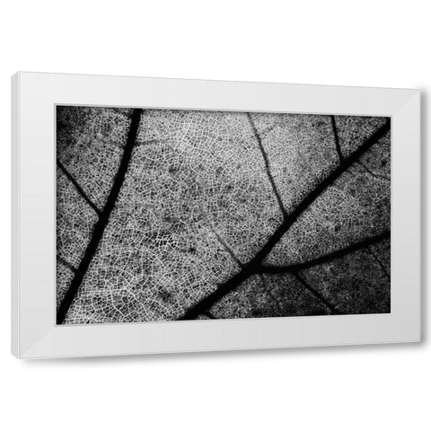 Streets White Modern Wood Framed Art Print by Chiarello, Matteo