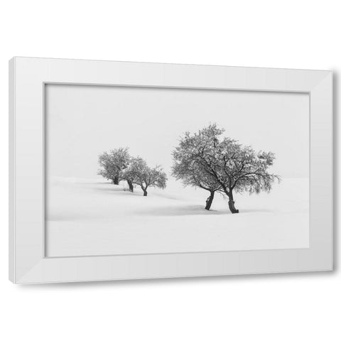 White Carpet Ii White Modern Wood Framed Art Print by Carrillo Lopez, Antonio