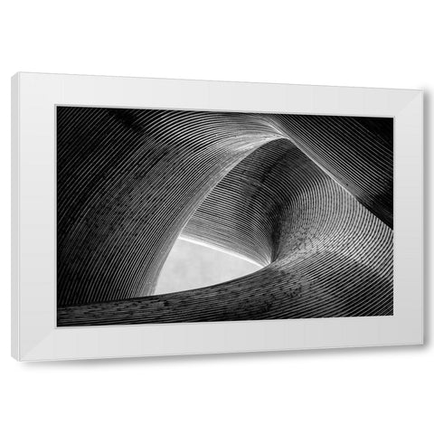 Entwined White Modern Wood Framed Art Print by Pfeiffer, Peter