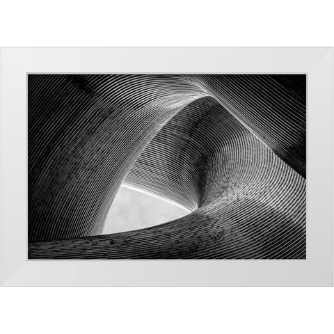 Entwined White Modern Wood Framed Art Print by Pfeiffer, Peter