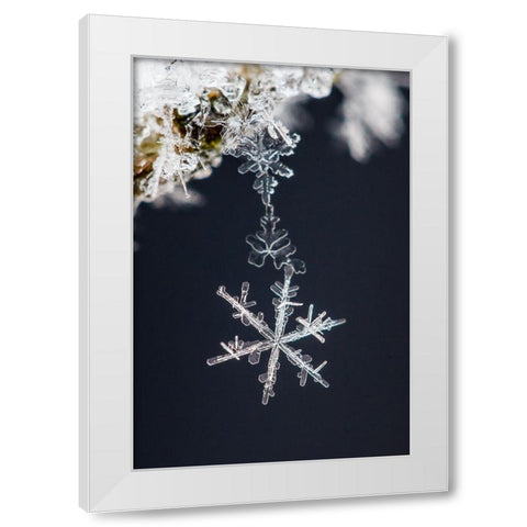 Pendant White Modern Wood Framed Art Print by Ritoniemi, Sami