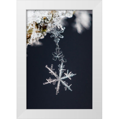 Pendant White Modern Wood Framed Art Print by Ritoniemi, Sami