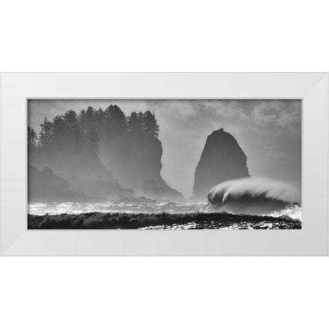 F U R Y White Modern Wood Framed Art Print by Turgeon, Alain