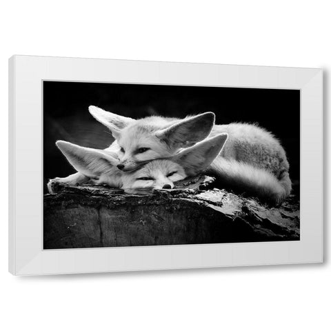 The Happy Couple White Modern Wood Framed Art Print by Ross Rossi, Ib