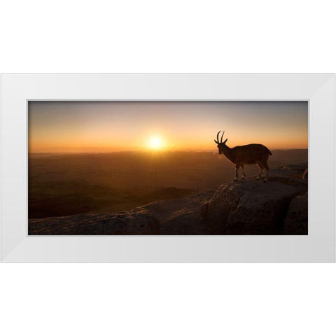 A New Day White Modern Wood Framed Art Print by Jonas, Nadav