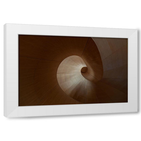 Spiral White Modern Wood Framed Art Print by Bonadio, Heather