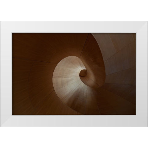 Spiral White Modern Wood Framed Art Print by Bonadio, Heather