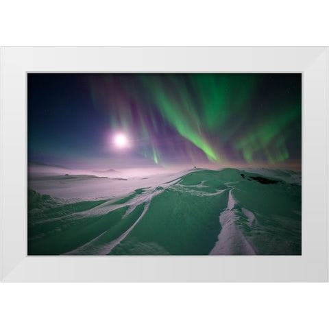 Artic Winter White Modern Wood Framed Art Print by Eriksson, Robin