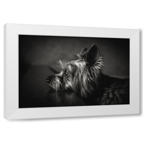 I Have Been Waiting For You ... White Modern Wood Framed Art Print by Lacz, Krisztina