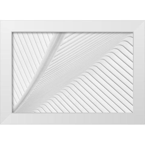 Canopy. White Modern Wood Framed Art Print by Van Son, Greetje