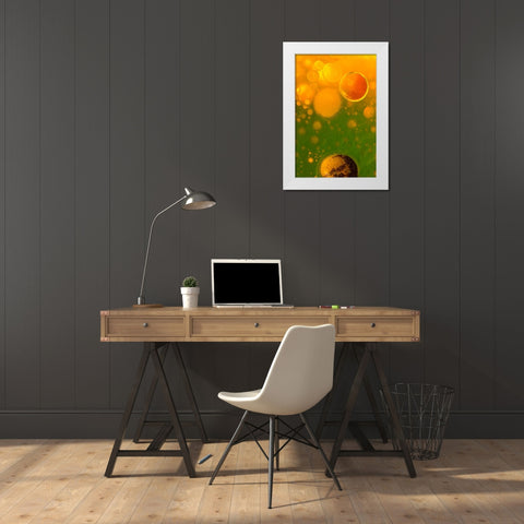 Spring Fantasy White Modern Wood Framed Art Print by Bosogea-Tudor, Ileana